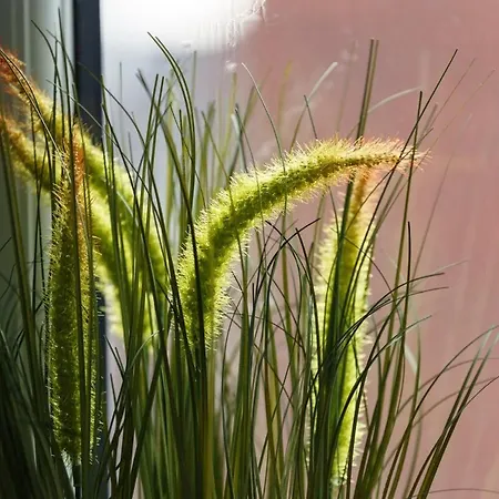 3br In - Perfect For Family *