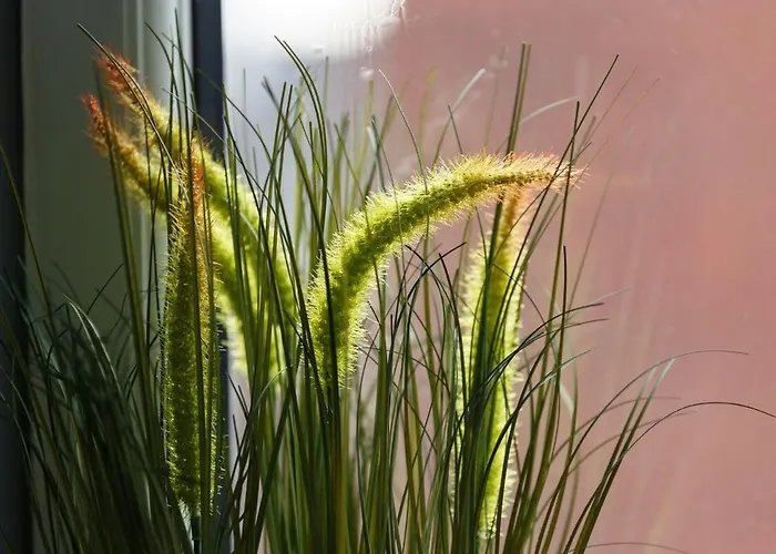 3br In - Perfect For Family *